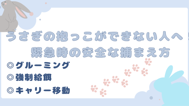 usagi-dakko-dekinai