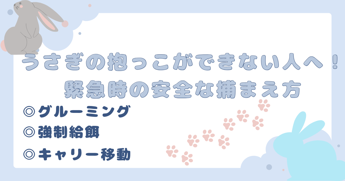 usagi-dakko-dekinai