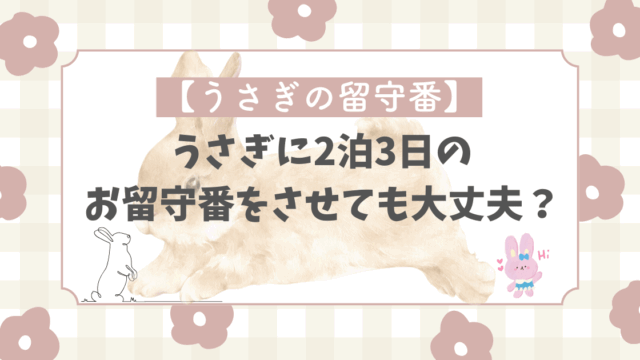 usagi-house-sitting
