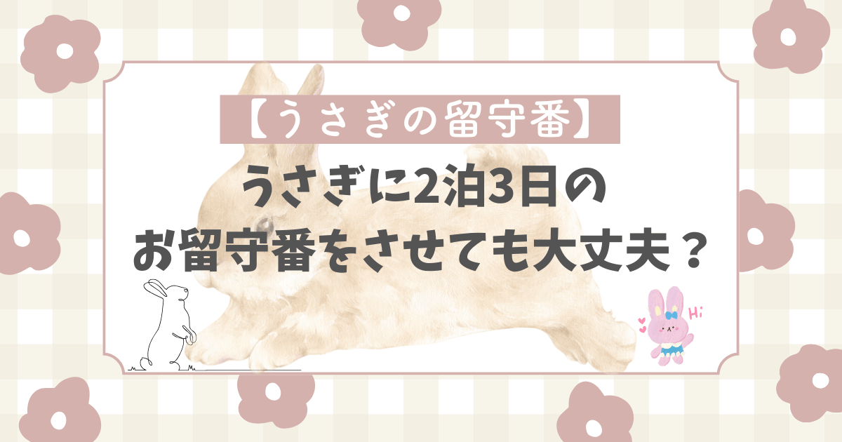 usagi-house-sitting