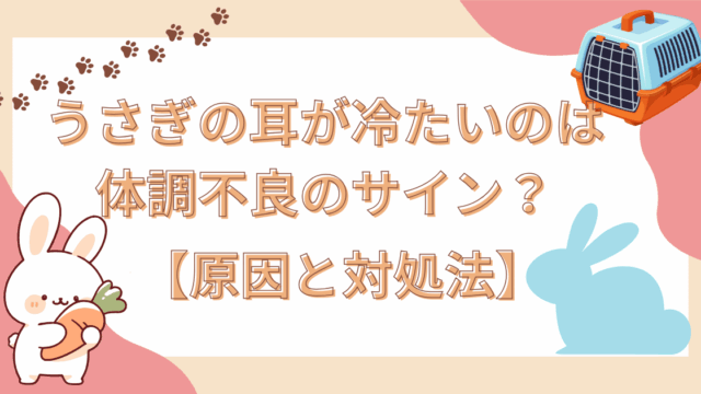 うさぎの耳が冷たい